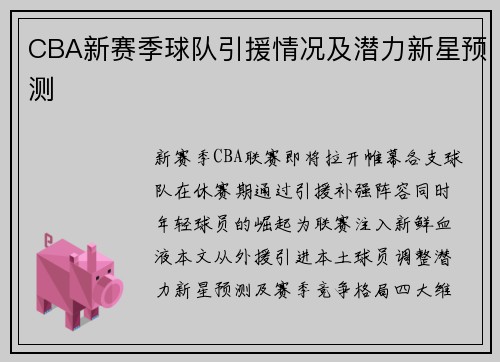 CBA新赛季球队引援情况及潜力新星预测
