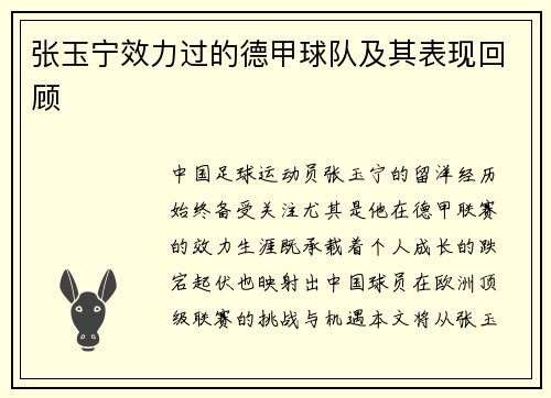 张玉宁效力过的德甲球队及其表现回顾